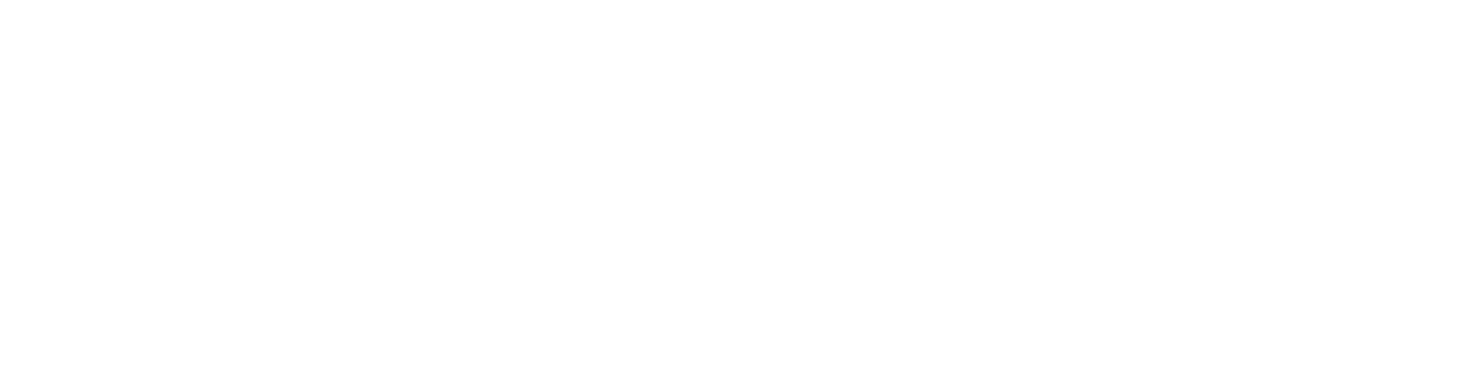 PARTNERSHIP