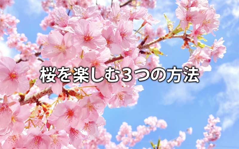 桜を楽しむ３つの方法