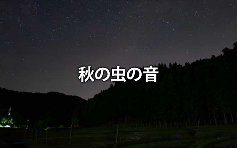 秋の虫の音