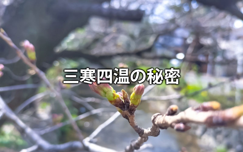 三寒四温の秘密